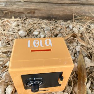 Huchas - Caja fuerte personalizada